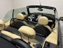 MINI Cooper Cabrio 1.6 Chili Cabrio Leer Cruise PDC NAP