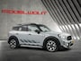 MINI Countryman Mini 2.0 Cooper S E ALL4 Untamed Ed./Pano/18"/Leder/BTW/DAB