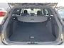 Ford Focus Wagon 1.0 EcoBoost Hybrid ST Line Wagon Winter Pack / Nette auto