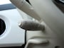 Fiat 500 1.0 Hyb. Dolcevita|Carplay|PDC|Pano|Cruise|Climate