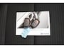 Hyundai i20 1.0 T-GDI Premium | Navigatie | Stoel- & Stuurverw. | Parkeercamera |