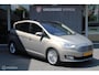 Ford C-Max 1.0 Titanium|125Pk|Apple|Boekjes|Panodak|Nap