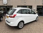 Ford Grand C-Max 1.0 Titanium 7p. Camera Bijgeluid motor !!!