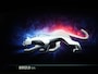 Ford Puma 1.0 EcoBoost Hybrid ST-Line | LED | Cruise Control | Navigatie | PDC | Carplay | LMV 17 inch | Climate Control