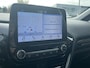 Ford Fiesta 1.0 EcoBoost Titanium TREKHAAK.
