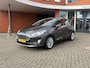 Ford Fiesta 1.0 EcoBoost Titanium TREKHAAK.