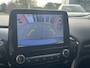 Ford Fiesta 1.0 EcoBoost Titanium TREKHAAK.
