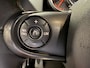 MINI Countryman Mini 2.0 Cooper S E ALL4 Chili Panoramadak stoelverwar