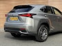 Lexus NX 300h AWD Luxury Edition Panoramadak / Lederen bekleding / Navigatie