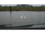 BMW M6 6-serie Cabrio let | KEYLESS | Softclose | AKRA | B&O|