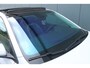 Volkswagen Polo 1.0 TSI Beats | R-Line - PANO - VOL!
