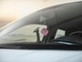 Renault Twingo 1.0 SCe Collection Baby blauw, NAP, Incl. garantie