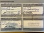 Citroën C4 Cactus 1.2 PureTech 110pk Feel - Blanc Bancuise - Carplay/Camera/Cruise