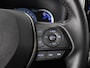 Toyota RAV4 2.5 Hybrid Black Edition | Trekhaak | NW All Seasons | JBL | BL
