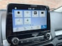 Ford EcoSport 1.0 EcoBoost Titanium | Stuurverw. | Stoelverw. | Apple CarPlay | Trekhaak