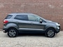 Ford EcoSport 1.0 EcoBoost Titanium | Stuurverw. | Stoelverw. | Apple CarPlay | Trekhaak