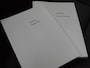 Polestar 2 Long Range Dual Motor Launch Edition 78kWh | Harman Kardon | Panoramadak | Camera | Cruise Control |