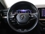 Skoda Kamiq 1.0 TSI DSG Business