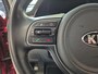 Kia Niro 1.6 GDi Hybrid DynamicLine | Cruise Control | Climate Control | Camera |
