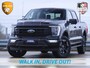 Dodge Ram 1500 | FORD F-150 | GMC | Grote voorraad BPM - VRIJ | Sinds 1988 dé specialist in Amerikaanse pick-ups Kom langs en maak een Proefrit in onze pick-up trucks! Walk in,drive out! Getoonde accessoires zijn verkrijgbaar tegen meerprijs