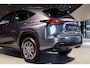 Lexus NX 300h AWD Business Line Dealer onderhouden|Mercury Grey|LED|Camera|Parkeersensoren