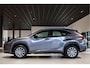 Lexus NX 300h AWD Business Line Dealer onderhouden|Mercury Grey|LED|Camera|Parkeersensoren