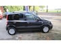 Fiat Panda 1.2 Edizione Cool