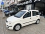 Fiat Panda 1.2 Edizione Cool