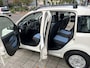 Fiat Panda 1.2 Edizione Cool