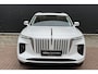 Hongqi E-HS9 President 99 kWh 6-pers.| Pano| 21"| Matrix| Vol leer| Stoelen voor met Massage/ventilatie/verwarming/memo| Adpt. Cruise| PDC  360C.