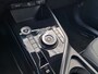 Kia Niro EV DynamicLine 64.8 kWh Clima / Navigatie / Camera /