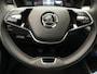 Skoda Fabia 1.0 TSI Selection / Carplay / Sensoren / Cruise
