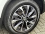 Skoda Kodiaq 1.5 TSI Sportline Business | 125 Years | Apple Carplay | Camera