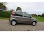 Fiat Panda 1.2 Edizione Cool lage km stand (NAP)