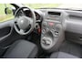 Fiat Panda 1.2 Edizione Cool lage km stand (NAP)