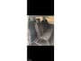 Ford Transit Custom Combi 310 9 persoons 2.0 TDCI airco elek ramen