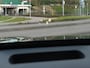 Ford Explorer Premium Extended Range RWD 77 kWh * PANO * GRATIS 21" LICHTMETAAL * ADAP CRUISE * BLIS *
