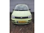 Fiat Panda 1.1 Active Plus Nieuwe koppeling/ dealeronderhouden