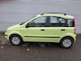 Fiat Panda 1.1 Active Plus Nieuwe koppeling/ dealeronderhouden