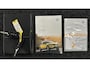 Volkswagen T-Roc 1.0 TSI Style Business PANO LM TREKHAAK DAB CRUISE.