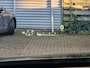 Lexus RX 450h 4WD F Sport Line MARK LEVINSON TREKHAAK LEER