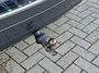 Volkswagen Touareg 3.0 TDI 4x4 6 Cil. 245pk| UNIEK | Automaat | Trekhaak | Zeer Compleet ! | NL Auto & 1e Eigenaar |