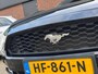 Ford Mustang Fastback 2.3 EcoBoost | NL-AUTO! | DEALER OH!
