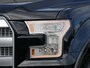 Ford F-150 3.5 V6 Ecoboost Platinum SuperCrew | Panoramadak | Leder | Trekhaak | Camera | Navigatie | CarPlay/Android Auto | Stoelverwarming en Ventilatie