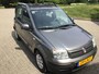 Fiat Panda 1.2 EDIZIONE COOL