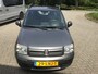Fiat Panda 1.2 EDIZIONE COOL
