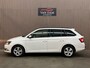 Skoda Fabia Combi 1.4 TDI Ambition Businessline Pro 2015 NAP CRUISE NAVI