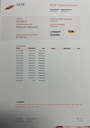 Renault Megane 1.3 TCe Bose Clima Cruise PDC Carplay