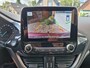 Ford Fiesta 1.0 EcoBoost 125pk ST-Line Trekhaak / Camera / Winterpack