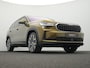 Skoda Kodiaq 1.5 TSI 204 pk DSG PHEV Business Edition | Leder | Geheugenstoelen | Canton | Stuur-/achterbankverwarming | Matrix LED